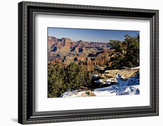 South Rim, Grand Canyon National Park, Arizona, USA-Michel Hersen-Framed Photographic Print