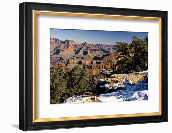 South Rim, Grand Canyon National Park, Arizona, USA-Michel Hersen-Framed Photographic Print