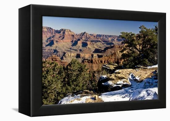 South Rim, Grand Canyon National Park, Arizona, USA-Michel Hersen-Framed Premier Image Canvas