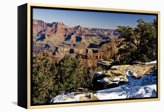 South Rim, Grand Canyon National Park, Arizona, USA-Michel Hersen-Framed Premier Image Canvas