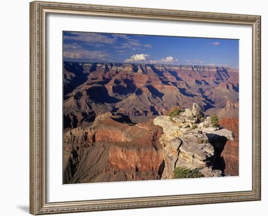 South Rim of Grand Canyon-James Randklev-Framed Photographic Print