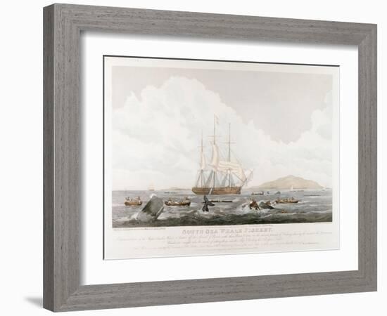 South Sea Whale Fishery, 1825-John Huggins-Framed Giclee Print