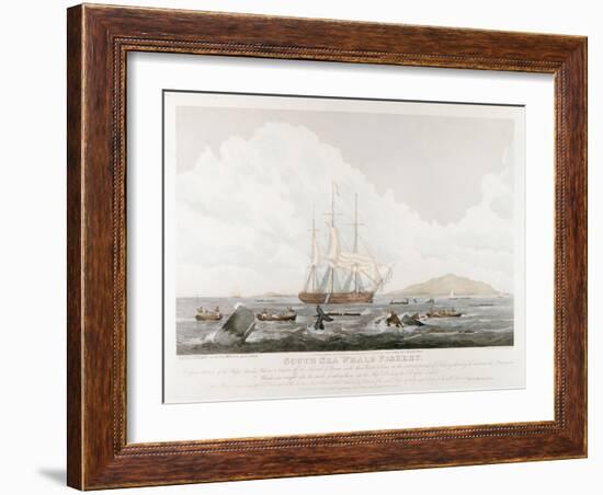 South Sea Whale Fishery, 1825-John Huggins-Framed Giclee Print