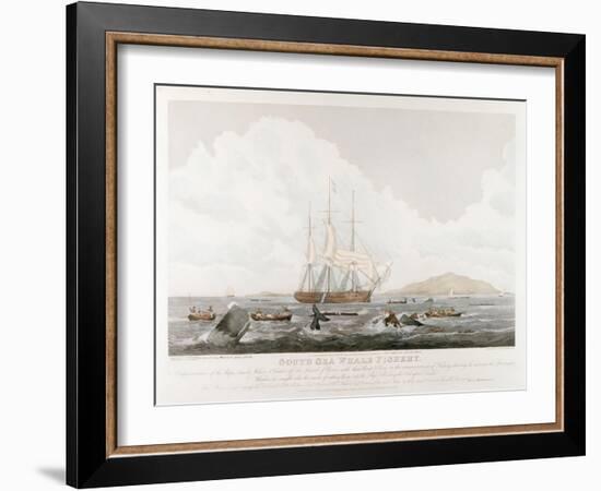 South Sea Whale Fishery, 1825-John Huggins-Framed Giclee Print