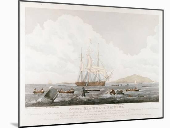 South Sea Whale Fishery, 1825-John Huggins-Mounted Giclee Print