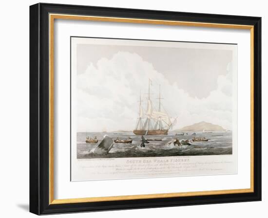 South Sea Whale Fishery, 1825-John Huggins-Framed Giclee Print