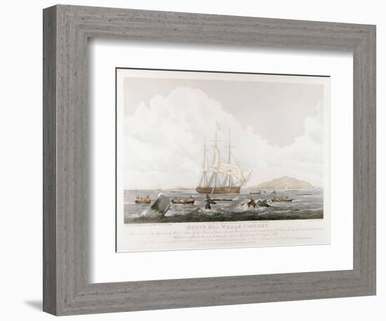 South Sea Whale Fishery, 1825-John Huggins-Framed Premium Giclee Print