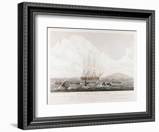 South Sea Whale Fishery, 1825-John Huggins-Framed Premium Giclee Print