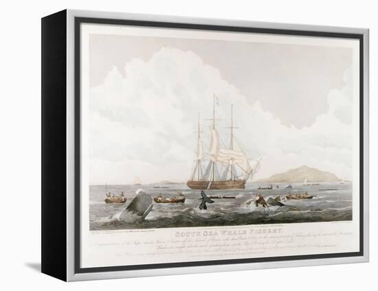 South Sea Whale Fishery, 1825-John Huggins-Framed Premier Image Canvas