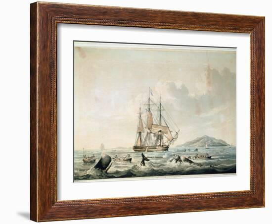 South Sea Whale Fishery, Engraved by T. Sutherland, 1825-William John Huggins-Framed Giclee Print