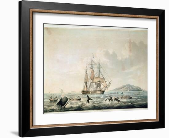 South Sea Whale Fishery, Engraved by T. Sutherland, 1825-William John Huggins-Framed Giclee Print