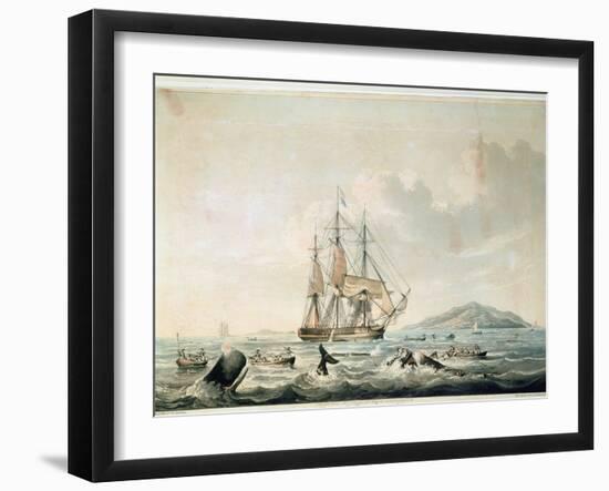 South Sea Whale Fishery, Engraved by T. Sutherland, 1825-William John Huggins-Framed Giclee Print