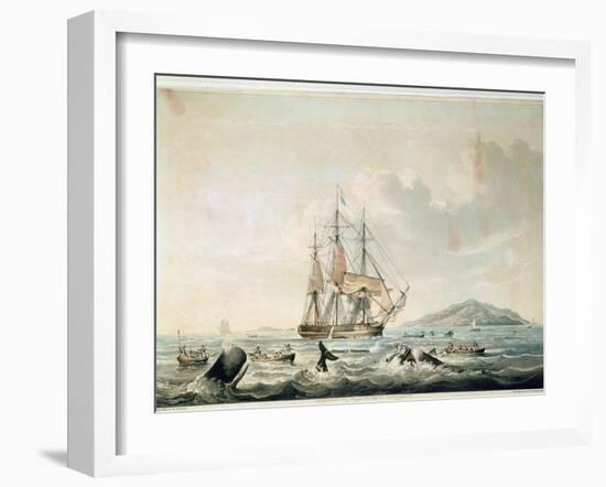 South Sea Whale Fishery, Engraved by T. Sutherland, 1825-William John Huggins-Framed Giclee Print