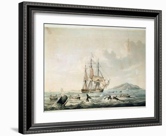 South Sea Whale Fishery, Engraved by T. Sutherland, 1825-William John Huggins-Framed Giclee Print