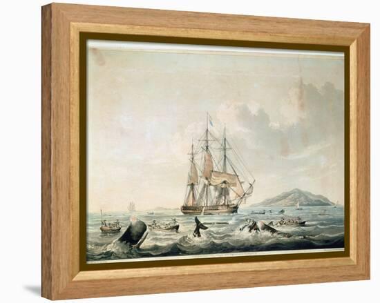 South Sea Whale Fishery, Engraved by T. Sutherland, 1825-William John Huggins-Framed Premier Image Canvas