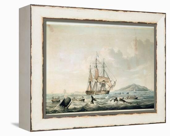 South Sea Whale Fishery, Engraved by T. Sutherland, 1825-William John Huggins-Framed Premier Image Canvas