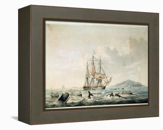 South Sea Whale Fishery, Engraved by T. Sutherland, 1825-William John Huggins-Framed Premier Image Canvas