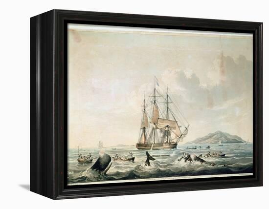South Sea Whale Fishery, Engraved by T. Sutherland, 1825-William John Huggins-Framed Premier Image Canvas