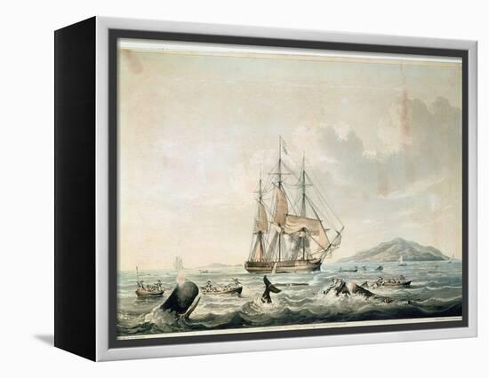 South Sea Whale Fishery, Engraved by T. Sutherland, 1825-William John Huggins-Framed Premier Image Canvas