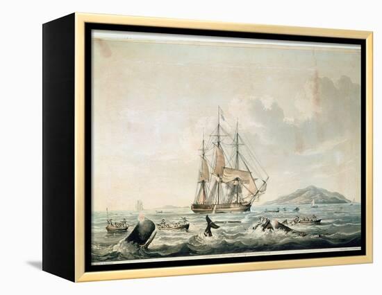 South Sea Whale Fishery, Engraved by T. Sutherland, 1825-William John Huggins-Framed Premier Image Canvas