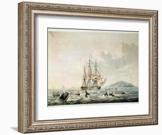 South Sea Whale Fishery, Engraved by T. Sutherland, 1825-William John Huggins-Framed Giclee Print