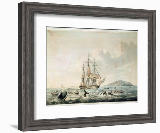 South Sea Whale Fishery, Engraved by T. Sutherland, 1825-William John Huggins-Framed Giclee Print