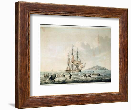 South Sea Whale Fishery, Engraved by T. Sutherland, 1825-William John Huggins-Framed Giclee Print