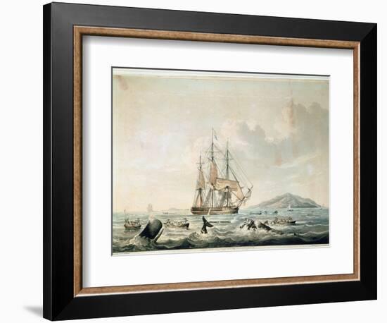 South Sea Whale Fishery, Engraved by T. Sutherland, 1825-William John Huggins-Framed Giclee Print