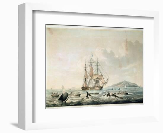 South Sea Whale Fishery, Engraved by T. Sutherland, 1825-William John Huggins-Framed Giclee Print