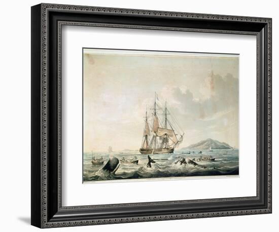 South Sea Whale Fishery, Engraved by T. Sutherland, 1825-William John Huggins-Framed Giclee Print