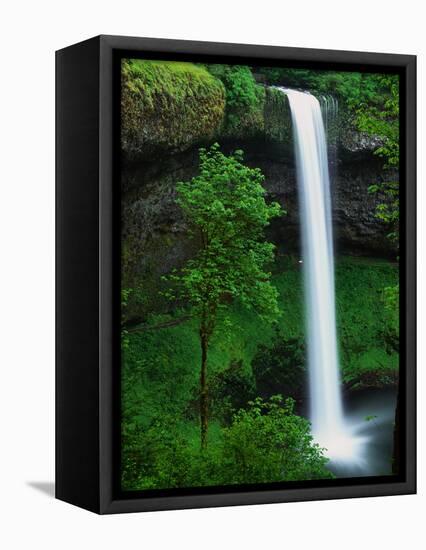South Silver Falls-Darrell Gulin-Framed Premier Image Canvas