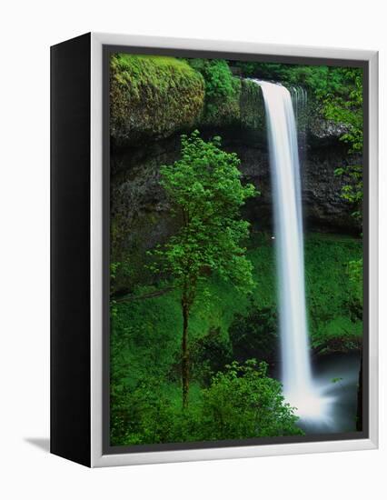 South Silver Falls-Darrell Gulin-Framed Premier Image Canvas