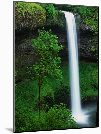 South Silver Falls-Darrell Gulin-Mounted Photographic Print