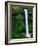 South Silver Falls-Darrell Gulin-Framed Photographic Print