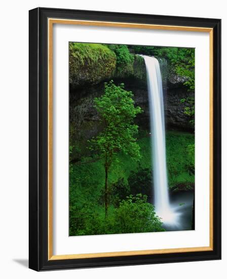 South Silver Falls-Darrell Gulin-Framed Photographic Print