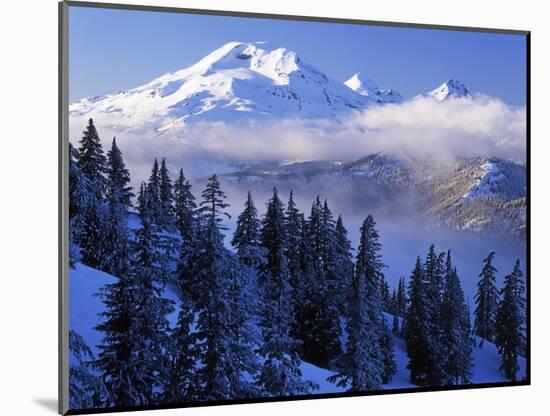 South Sister, Deschutes National Forest, Oregon, USA-Charles Gurche-Mounted Photographic Print