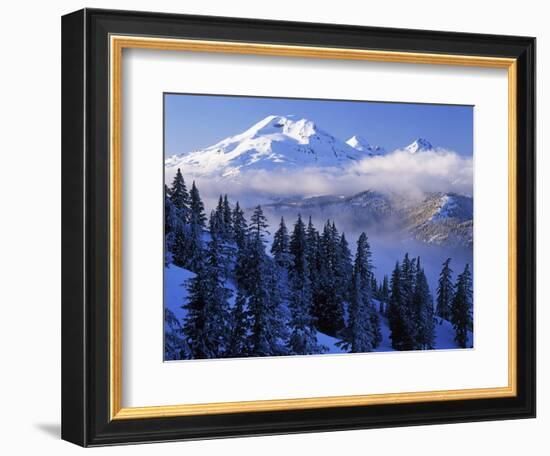 South Sister, Deschutes National Forest, Oregon, USA-Charles Gurche-Framed Photographic Print