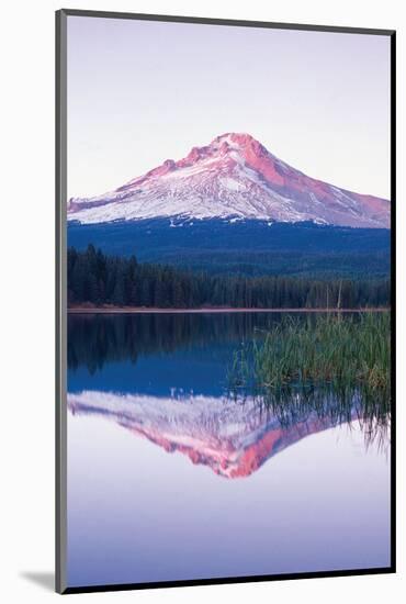 South Sister Mountain Oregon-null-Mounted Art Print