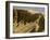 South slope of a royal burial ground, Egypt-English Photographer-Framed Giclee Print