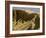 South slope of a royal burial ground, Egypt-English Photographer-Framed Giclee Print