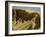 South slope of a royal burial ground, Egypt-English Photographer-Framed Giclee Print