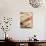 South Tyrolean Speck (Bacon)-Stefan Braun-Photographic Print displayed on a wall