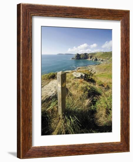 South West Devon Coastal Footpath Approaching Gammon Head, Prawle Point, South Hams, Devon, England-David Hughes-Framed Photographic Print