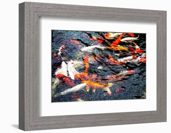 Southeast Asia, China, Macau, Japanese Koi Fish in Motion-Terry Eggers-Framed Photographic Print