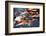 Southeast Asia, China, Macau, Japanese Koi Fish in Motion-Terry Eggers-Framed Photographic Print