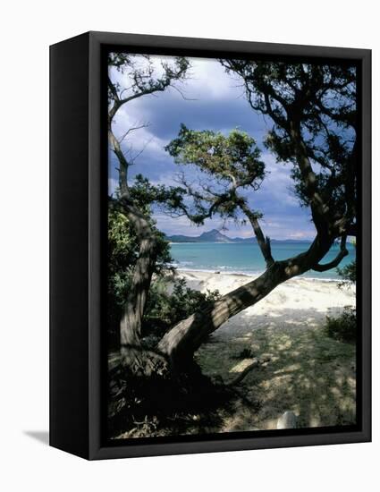 Southeast Coast, Island of Sardinia, Italy, Mediterranean-Oliviero Olivieri-Framed Premier Image Canvas