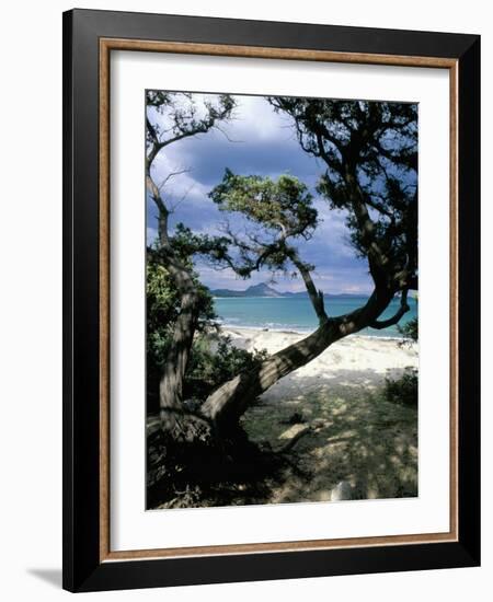 Southeast Coast, Island of Sardinia, Italy, Mediterranean-Oliviero Olivieri-Framed Photographic Print