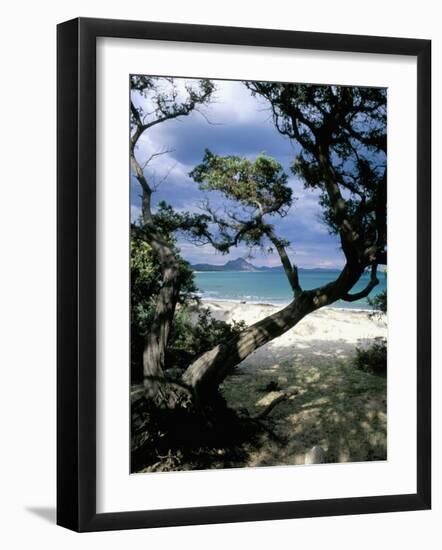 Southeast Coast, Island of Sardinia, Italy, Mediterranean-Oliviero Olivieri-Framed Photographic Print