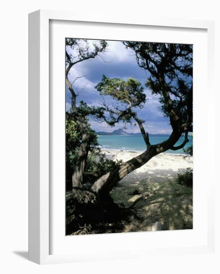 Southeast Coast, Island of Sardinia, Italy, Mediterranean-Oliviero Olivieri-Framed Photographic Print