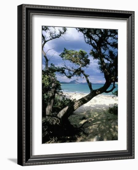 Southeast Coast, Island of Sardinia, Italy, Mediterranean-Oliviero Olivieri-Framed Photographic Print